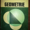 Geometrie- Edwin E. Moise, Floyd L. Downs
