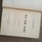 Aristizza Romanescu, 30 de ani; Amintiri, 1904, editia 1