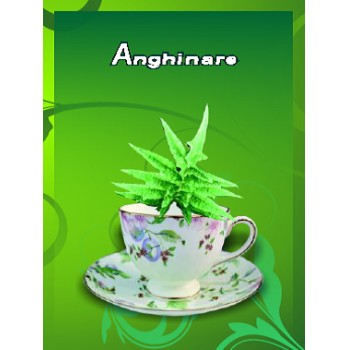 ANGHINARE 50GR