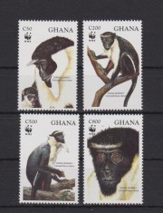 GHANA 1994 WWF FAUNA PROTEJATA MAIMUTE foto