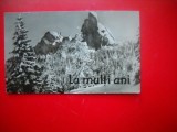 HOPCT 9100 -LA MULTI ANI -FELICITARE CRACIUN / AN NOU -1 FILA -CIRCULATA