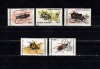 A11 TX9 6 - 1996 - Insecte I - uzuale, Fauna, Nestampilat