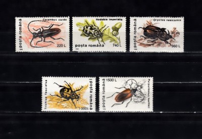 A11 TX9 6 - 1996 - Insecte I - uzuale foto