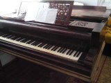 Pian B&ouml;sendorfer, an 1862 &ndash; piesă de colecție, necesită restaurare