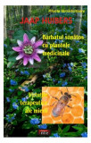 Bărbatul sănătos cu plantele medicinale - Paperback brosat - Jaap Huibers - Antet Revolution