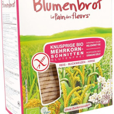 Paine Multicereal Bio Fara Gluten Blumenbrot 150gr