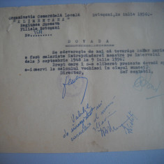 HOPCT DOCUMENT VECHI 413 SOCIETATEA COMERCIALA ALIMENTARA BOTOSANI 1956