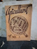 Revista Apicultura nr.6 1955 Editura Ministerul Agriculturii 16 pagini cresterea albinelor tehnici apicole carte tehnica
