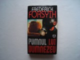 Pumnul lui Dumnezeu - Frederick Forsyth, 1998, Rao