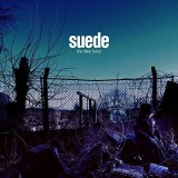 The Blue Hour | Suede, Rock, Rhino