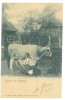 3284 - ETHNIC woman, Country Life, Litho, Romania - old postcard - used - 1900, Circulata, Printata