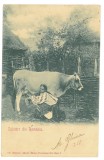 3284 - ETHNIC woman, Country Life, Litho, Romania - old postcard - used - 1900