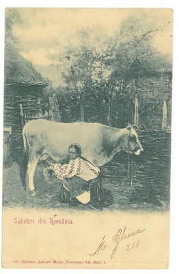 3284 - ETHNIC woman, Country Life, Litho, Romania - old postcard - used - 1900 foto