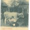 3284 - ETHNIC woman, Country Life, Litho, Romania - old postcard - used - 1900