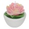 Lum&acirc;nare Decorativă, Trandafir, Ghiveci Ciment Alb, Diametru 7 cm, &Icirc;nălțime 6.5 cm, Multicolor