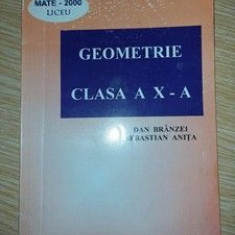 Geometrie clasa a 10-a - Dan Branzei, Sebastian Anita