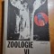 manual de zoologie - pentru clasa a 6-a - din anul 1972