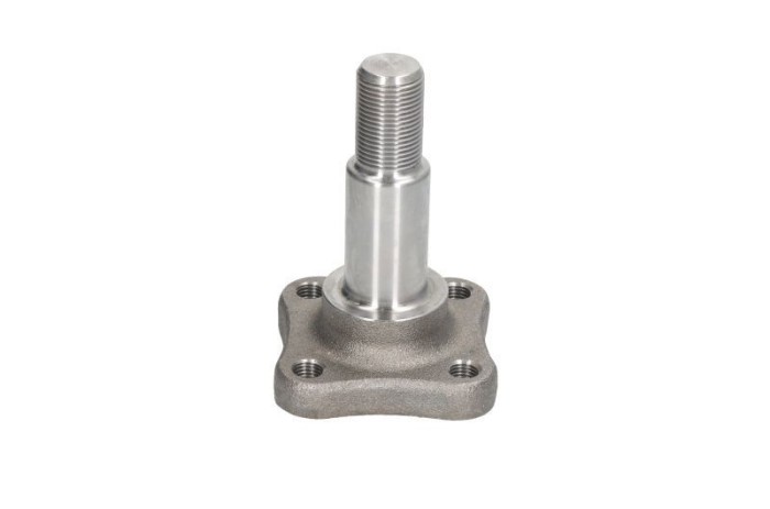 Butuc roata spate Dacia Logan I, II 2009-2020, Sandero I, II 2009-2020 157435 8200927687