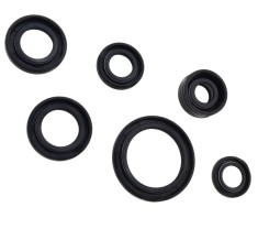 Set semeringuri motor ATV 110 Cod Produs: MX_NEW USCXXXXXXXXXXJOY000