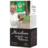 MERIDIAN VEZICA BILIARA TINCTURA 100ML, SANTO RAPHAEL