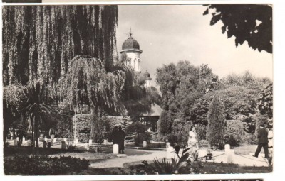 CPIB 16871 CARTE POSTALA - RADAUTI. VEDERE DIN PARC, RPR foto