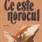 Ce este norocul - Nuvele