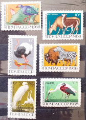 Rusia 1968 pasari fauna serie 6v mnh foto