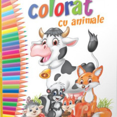 Carte de colorat cu animale - Paperback brosat - Gama