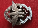 decoratie militara Polonia , anul 1919 ,Email alb si metal .stare excelenta