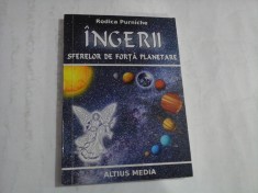 INGERII SFERELOR DE FORTA PLANETARE - RODICA PURNICHE foto