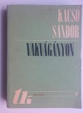 Vakvaganyon - Kacso Sandor