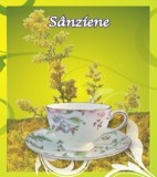 SANZIENE 50GR, Cyani