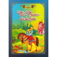 Carte de Colorat - Fat-Frumos din Lacrima