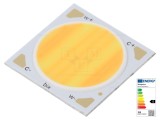 LED COB bicolor alb cald/neutru 900mA