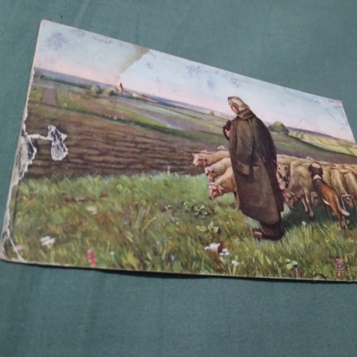 CARTE POSTALA CIOBAN INTERBELICA CIRCULATA