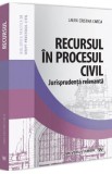 Recursul in procesul civil. Jurisprudenta relevanta - Laura-Cristina Carcia