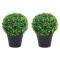 Plante artificiale cimișir cu ghiveci, 2 buc. verde 27 cm minge