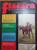 Flacara 13 aprilie 1974-art. si foto orasul bucuresti,soferul lui george enescu