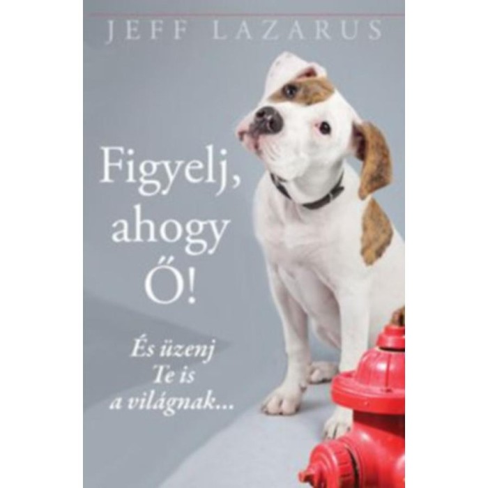 Figyelj, ahogy Ő! - &Eacute;s &uuml;zenj Te is a vil&aacute;gnak... - Jeff Lazarus