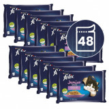 Cumpara ieftin FELIX Junior Fantastic pliculețe, selecție delicioasă &icirc;n gelatină 48 x 85 g