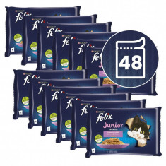 FELIX Junior Fantastic pliculețe, selecție delicioasă în gelatină 48 x 85 g