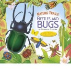 Beetles and Bugs | Maurice Pledger