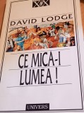 CE MICA-I LUMEA DAVID LODGE, 1997