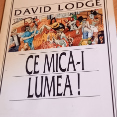 CE MICA-I LUMEA DAVID LODGE