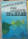 Prin labirintul geometriei - Laurentiu Duican