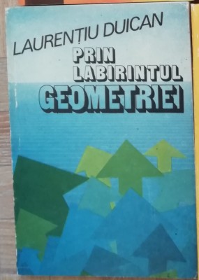 Prin labirintul geometriei - Laurentiu Duican foto