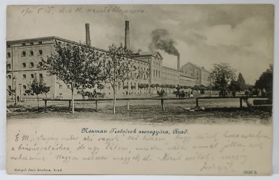ARAD , DISTILERIA NEUMAN , CARTE POSTALA , CLASICA , DATATA 1901 foto