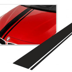 Dungi auto Carbon 3D "Racing Style" lungime 3m, culori multiple (set 2 buc)