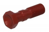 Șurub conductă fr&acirc;nă M10x1, colour: Red (for 2 pipes), Trw