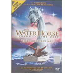 DVD FILM THE WATER HORSE LEGEND OF THE DEEP. EU SI MONSTRUL MEU